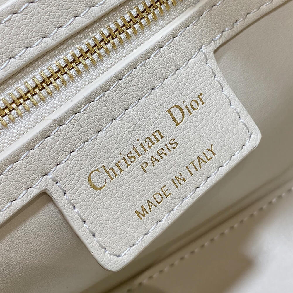 Dior Groove 20 Bag
